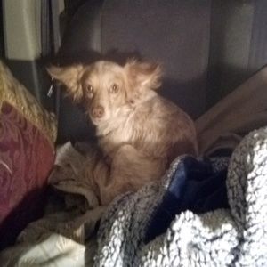 Meet your Posher, Teri